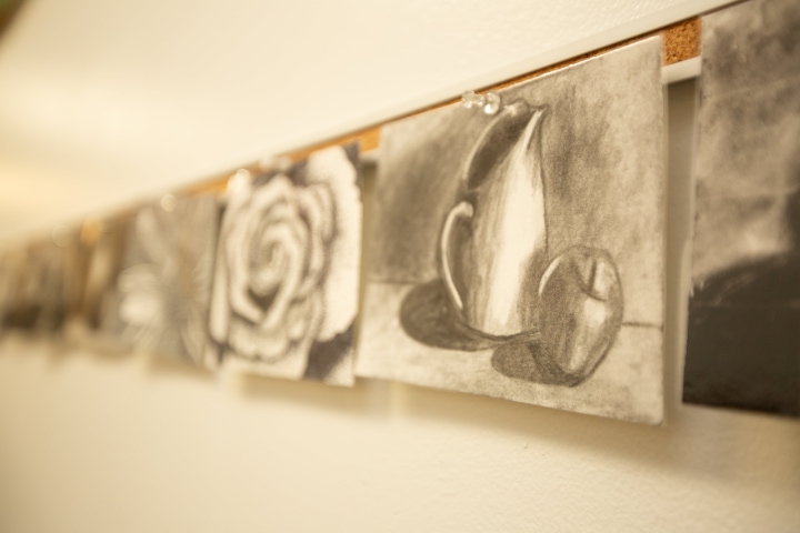 Field Trips & Service Learning